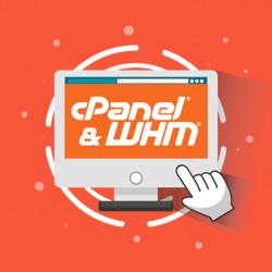 cPanel 30 Account