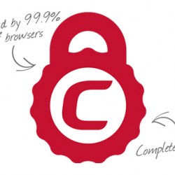 COMODO Positive Wildcard SSL Sertifikası